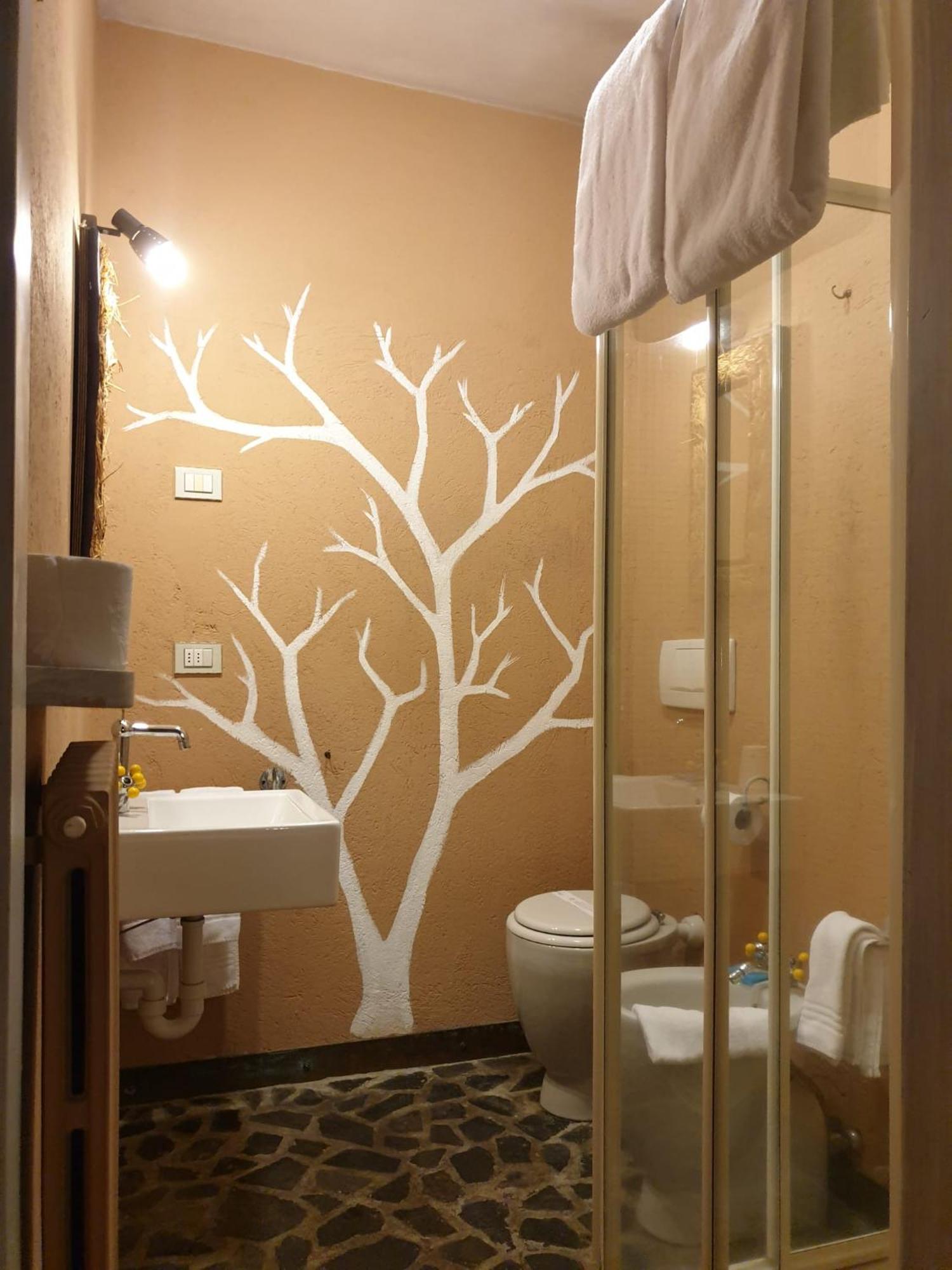 Piccolo Hotel Olina Orta San Giulio Rum bild